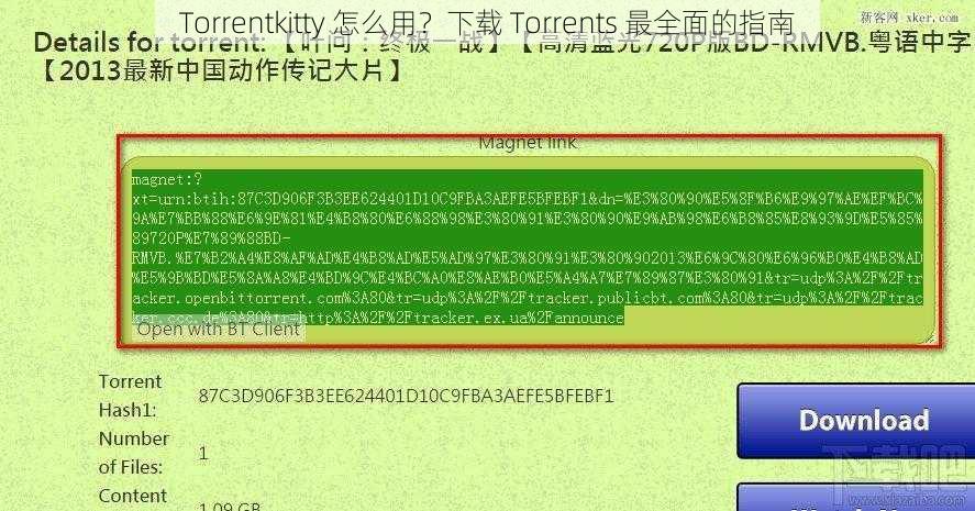 Torrentkitty 怎么用？下载 Torrents 最全面的指南