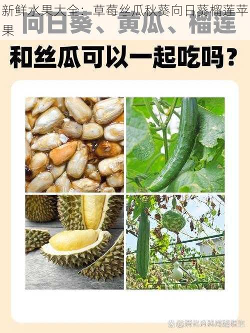 新鲜水果大全：草莓丝瓜秋葵向日葵榴莲苹果