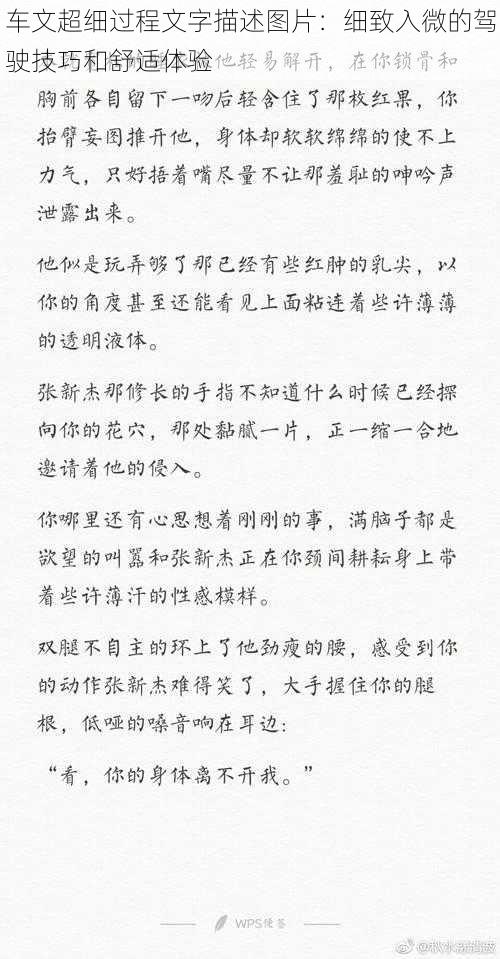 车文超细过程文字描述图片：细致入微的驾驶技巧和舒适体验