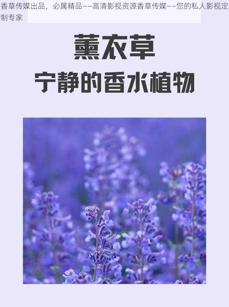 香草传媒出品，必属精品——高清影视资源香草传媒——您的私人影视定制专家