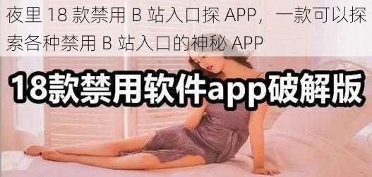 夜里 18 款禁用 B 站入口探 APP，一款可以探索各种禁用 B 站入口的神秘 APP