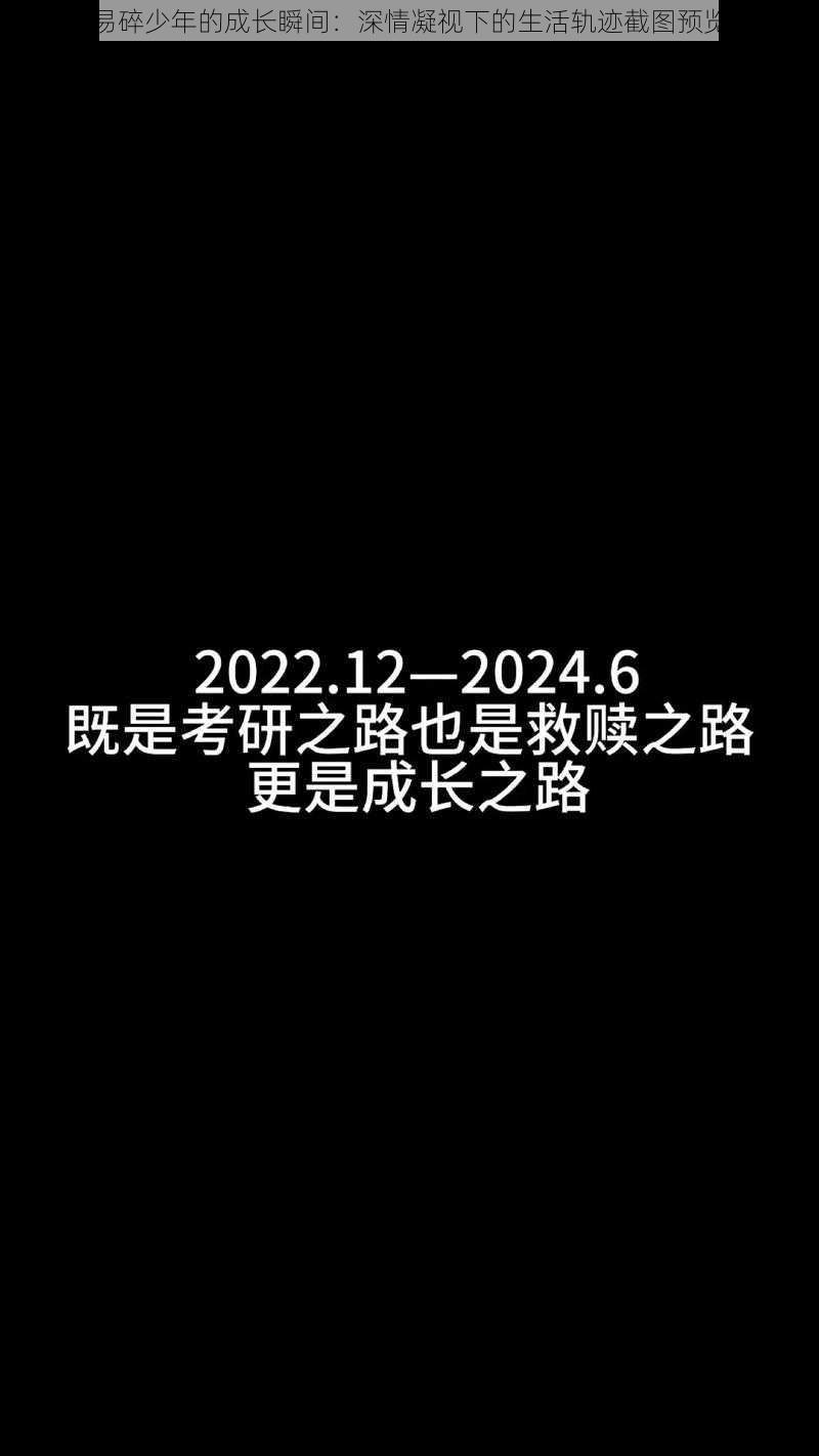 易碎少年的成长瞬间：深情凝视下的生活轨迹截图预览