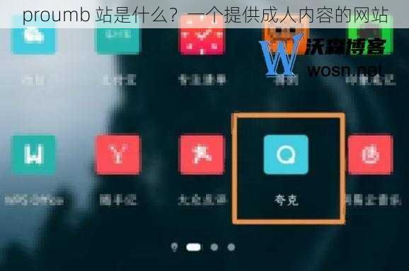 proumb 站是什么？一个提供成人内容的网站