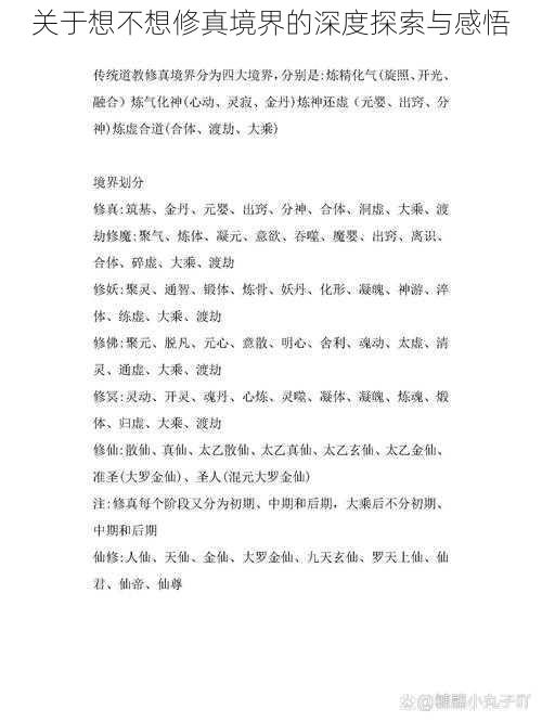 关于想不想修真境界的深度探索与感悟