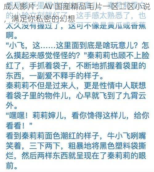 成人影片：AV 国産精品毛片一区二区小说，满足你私密的幻想