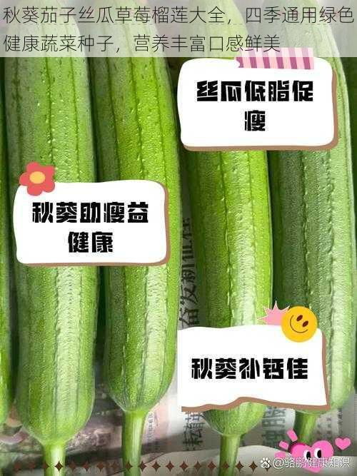 秋葵茄子丝瓜草莓榴莲大全，四季通用绿色健康蔬菜种子，营养丰富口感鲜美