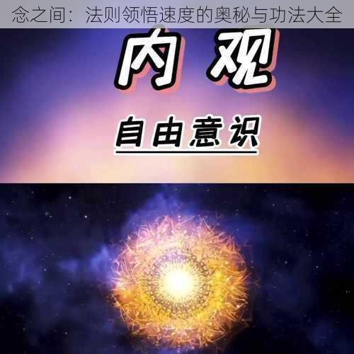 念之间：法则领悟速度的奥秘与功法大全