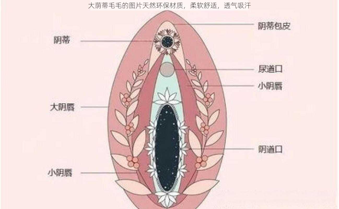 大荫蒂毛毛的图片天然环保材质，柔软舒适，透气吸汗