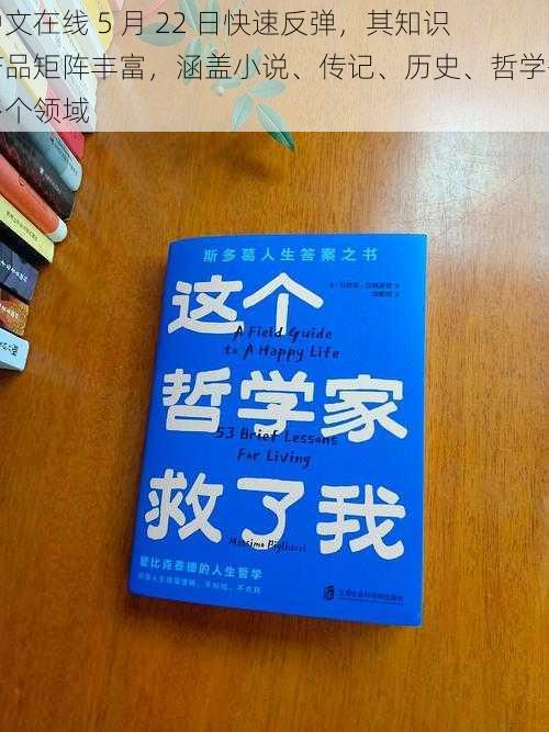 中文在线 5 月 22 日快速反弹，其知识产品矩阵丰富，涵盖小说、传记、历史、哲学等多个领域