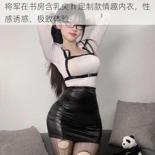 将军在书房含乳尖 h 定制款情趣内衣，性感诱惑，极致体验