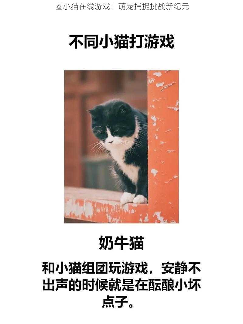 圈小猫在线游戏：萌宠捕捉挑战新纪元