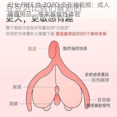 幻女 FREE 性 ZOZO 交在线视频：成人情趣用品，带来极致性体验