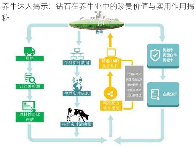 养牛达人揭示：钻石在养牛业中的珍贵价值与实用作用揭秘