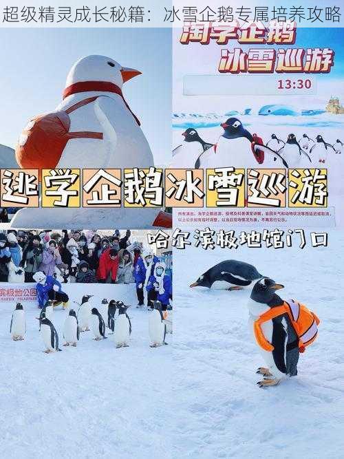 超级精灵成长秘籍：冰雪企鹅专属培养攻略