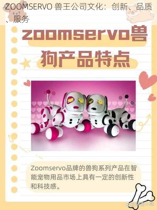 ZOOMSERVO 兽王公司文化：创新、品质、服务