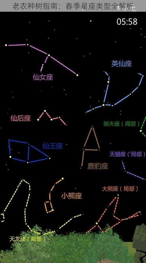 老农种树指南：春季星座类型全解析