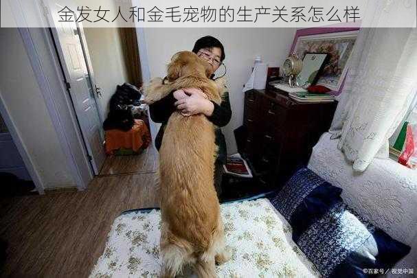 金发女人和金毛宠物的生产关系怎么样