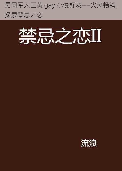 男同军人巨黄 gay 小说好爽——火热畅销，探索禁忌之恋