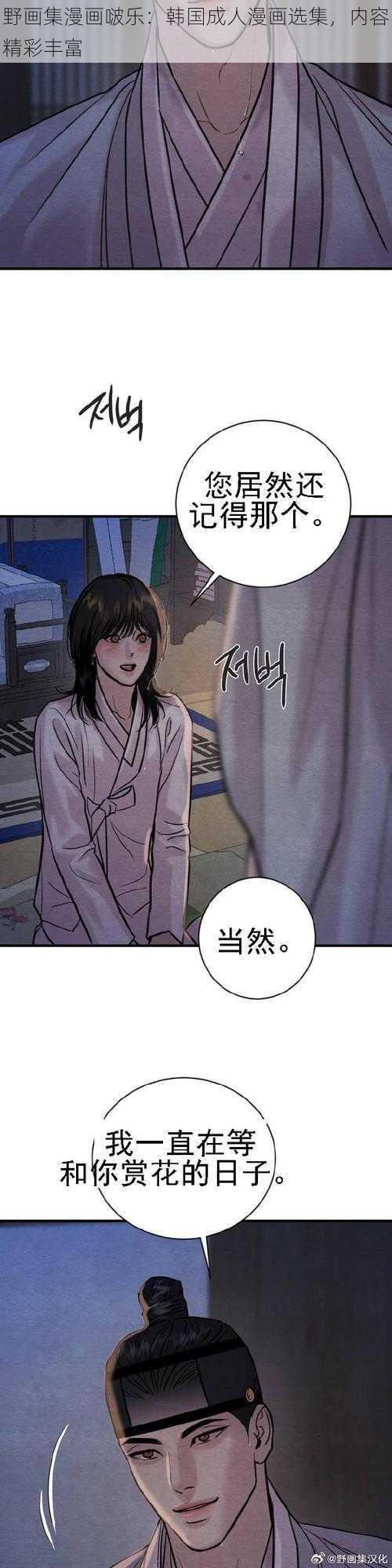 野画集漫画啵乐：韩国成人漫画选集，内容精彩丰富