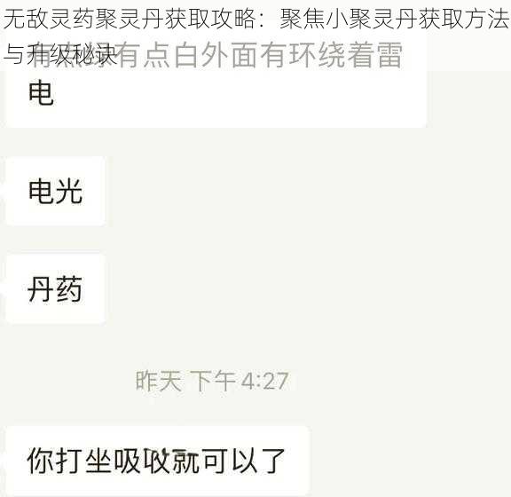 无敌灵药聚灵丹获取攻略：聚焦小聚灵丹获取方法与升级秘诀