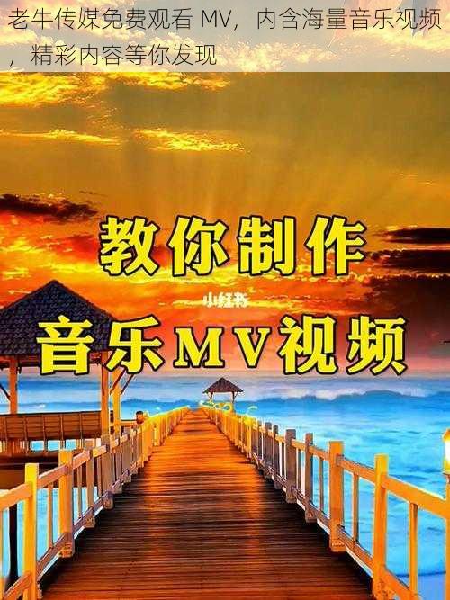 老牛传媒免费观看 MV，内含海量音乐视频，精彩内容等你发现