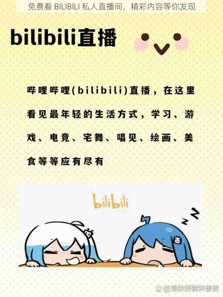 免费看 BILIBILI 私人直播间，精彩内容等你发现