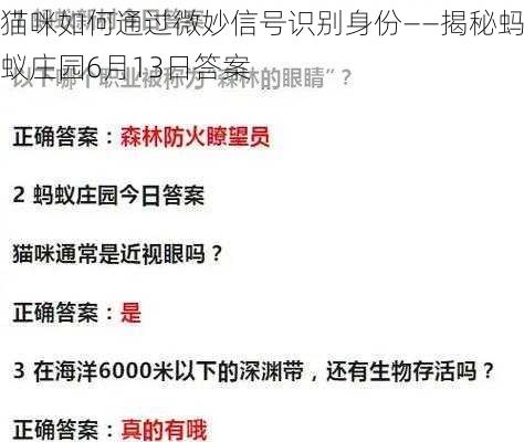 猫咪如何通过微妙信号识别身份——揭秘蚂蚁庄园6月13日答案