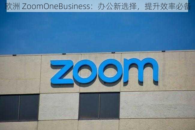 欧洲 ZoomOneBusiness：办公新选择，提升效率必备