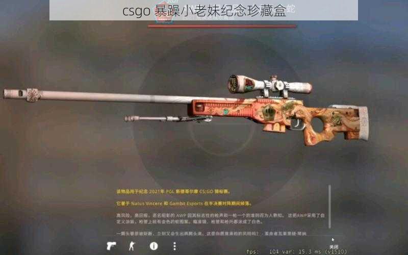 csgo 暴躁小老妹纪念珍藏盒