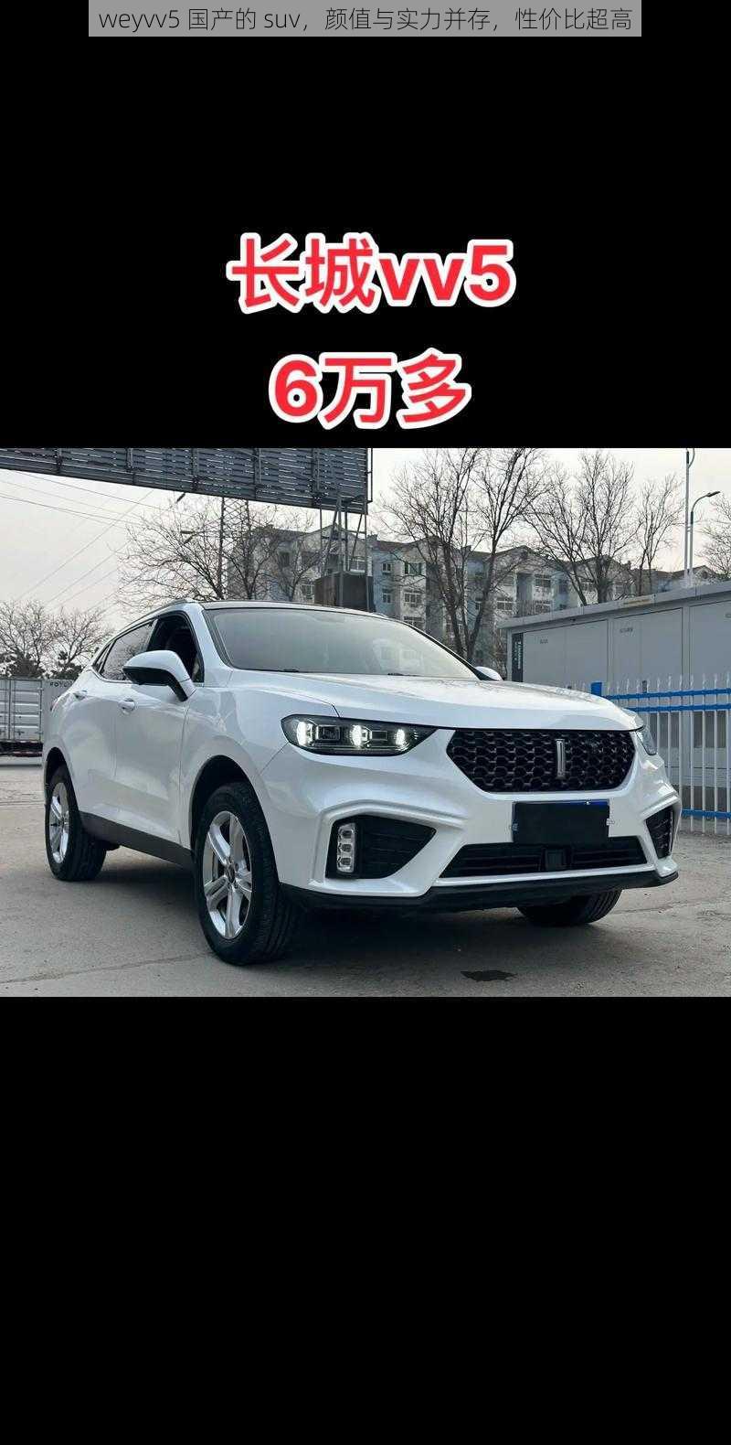 weyvv5 国产的 suv，颜值与实力并存，性价比超高