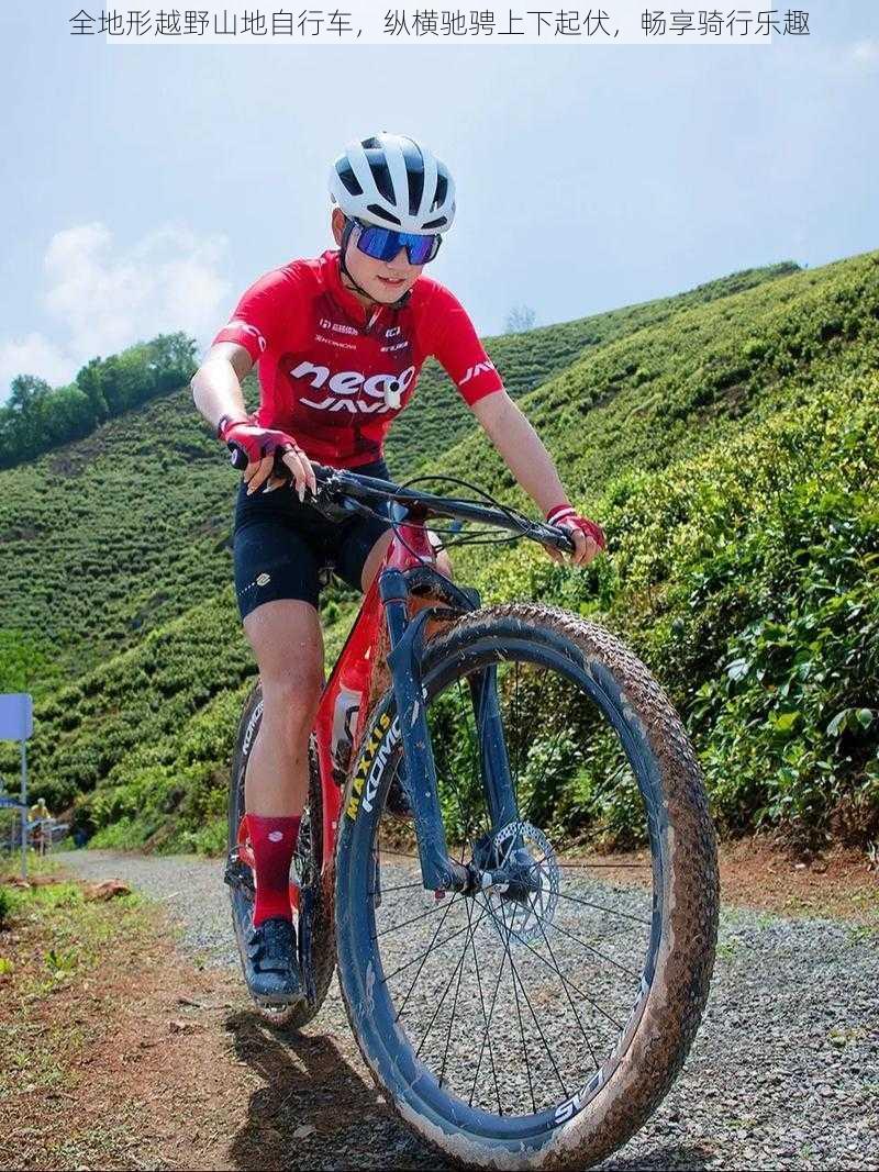 全地形越野山地自行车，纵横驰骋上下起伏，畅享骑行乐趣