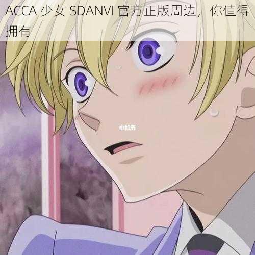 ACCA 少女 SDANVI 官方正版周边，你值得拥有