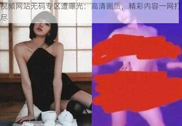 视频网站无码专区遭曝光：高清画质，精彩内容一网打尽