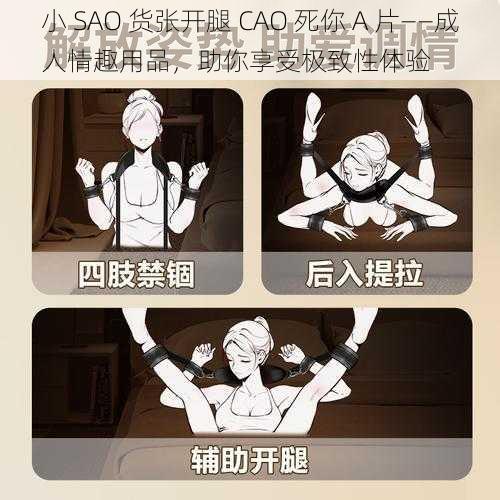 小 SAO 货张开腿 CAO 死你 A 片——成人情趣用品，助你享受极致性体验