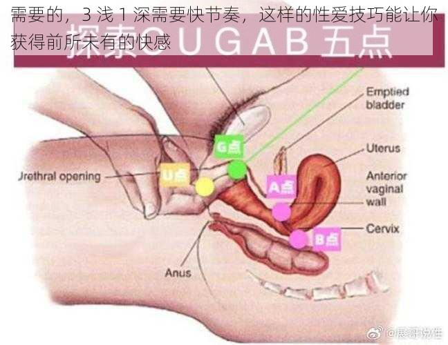 需要的，3 浅 1 深需要快节奏，这样的性爱技巧能让你获得前所未有的快感
