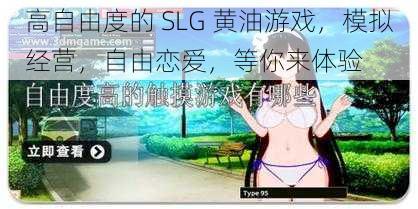 高自由度的 SLG 黄油游戏，模拟经营，自由恋爱，等你来体验