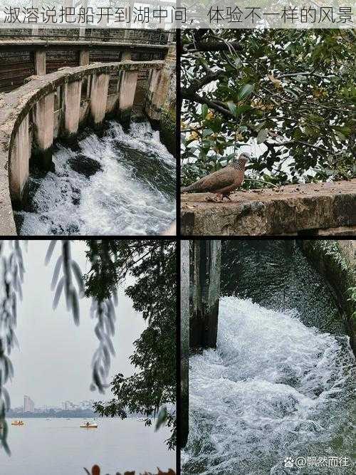 淑溶说把船开到湖中间，体验不一样的风景