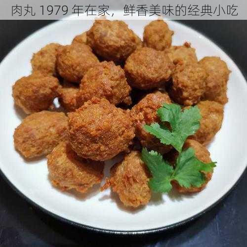 肉丸 1979 年在家，鲜香美味的经典小吃