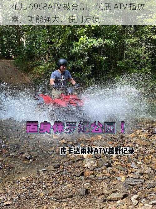 花儿 6968ATV 被分割，优质 ATV 播放器，功能强大，使用方便