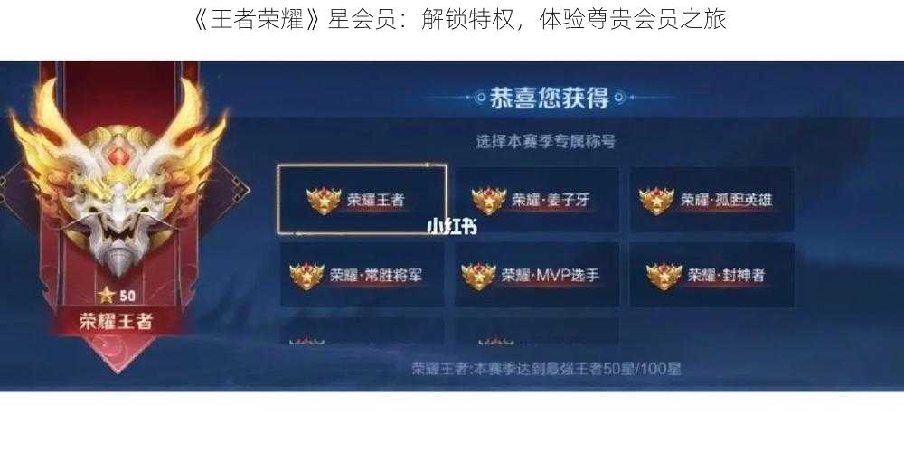 《王者荣耀》星会员：解锁特权，体验尊贵会员之旅