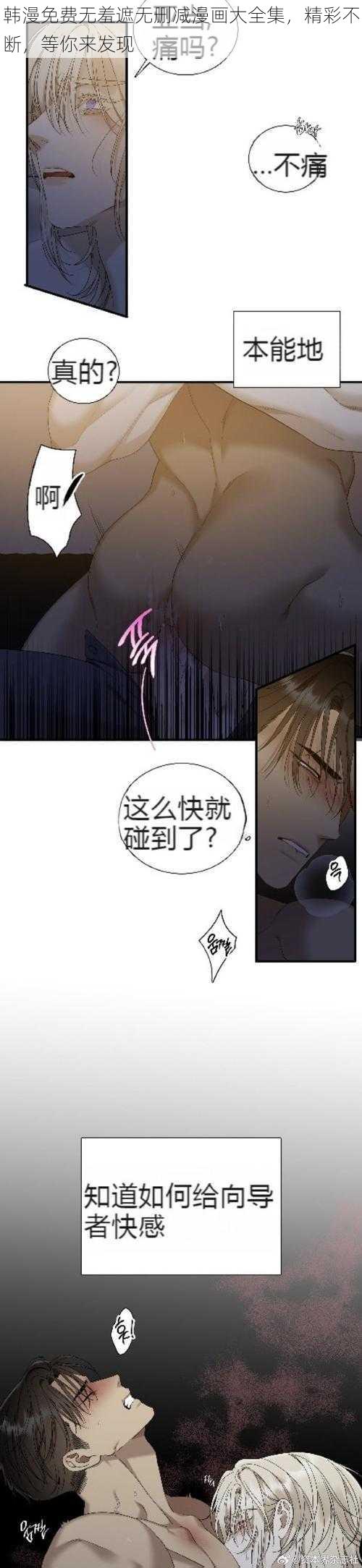 韩漫免费无羞遮无删减漫画大全集，精彩不断，等你来发现