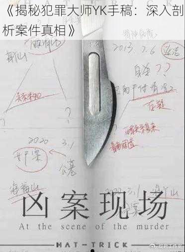 《揭秘犯罪大师YK手稿：深入剖析案件真相》