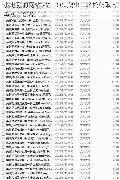 小电影的网站 PYTHON 爬虫：轻松爬取各类视频资源