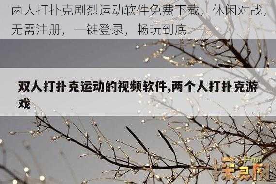 两人打扑克剧烈运动软件免费下载，休闲对战，无需注册，一键登录，畅玩到底