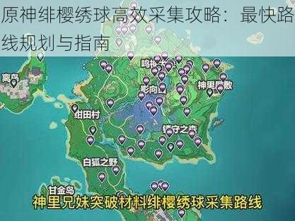 原神绯樱绣球高效采集攻略：最快路线规划与指南