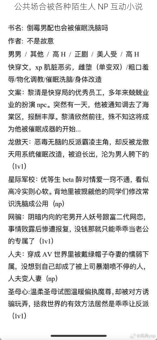 公共场合被各种陌生人 NP 互动小说