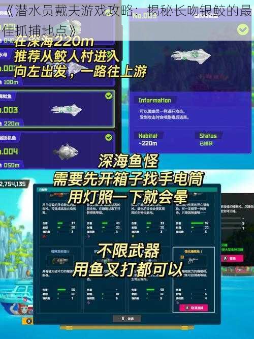 《潜水员戴夫游戏攻略：揭秘长吻银鲛的最佳抓捕地点》