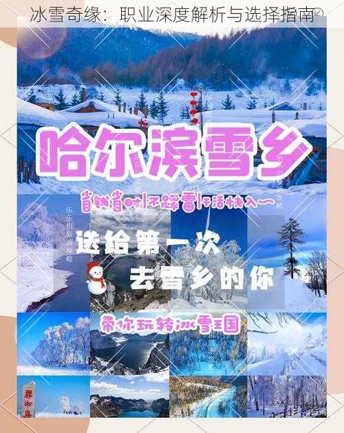 冰雪奇缘：职业深度解析与选择指南