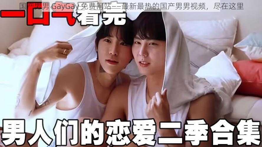 国产男男 GayGay 免费网站——最新最热的国产男男视频，尽在这里