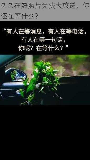 久久在热照片免费大放送，你还在等什么？